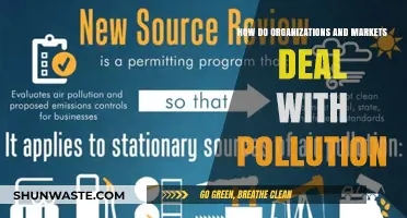 Strategies for Tackling Pollution: Markets and Organizations