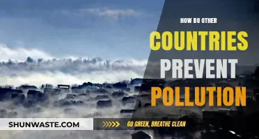 Global Strategies for Preventing Pollution