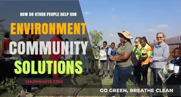 Community Environmental Impact: How Collective Efforts Drive Sustainable Solutions