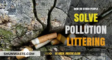 Global Anti-Littering Strategies: What Works?
