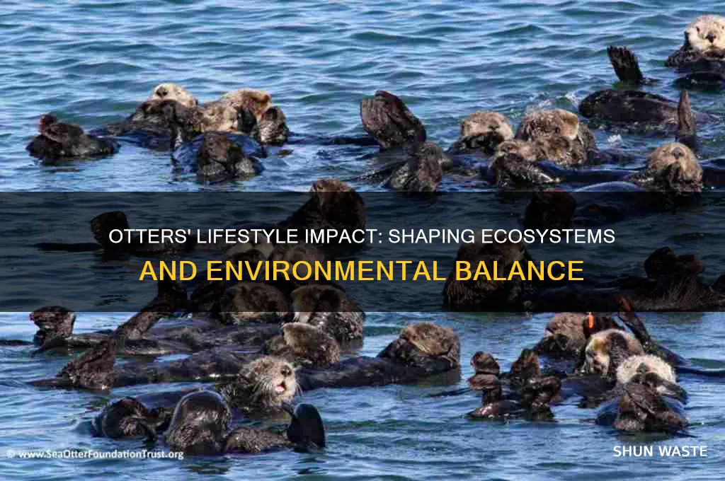how do otters lifestyke affect the environment