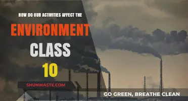 Human Actions and Their Environmental Impact: A Class 10 Guide