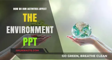 Human Activities and Their Environmental Impact: A Comprehensive Overview