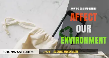 Daily Habits, Global Impact: How Bad Choices Harm Our Environment