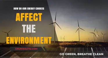 Powering Our World: Environmental Impacts of Energy Decisions and Choices