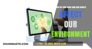 Habits Shape Our World: Environmental Impact of Daily Choices