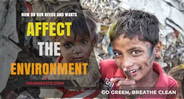 Needs, Wants, and Nature: Balancing Human Desires with Environmental Impact