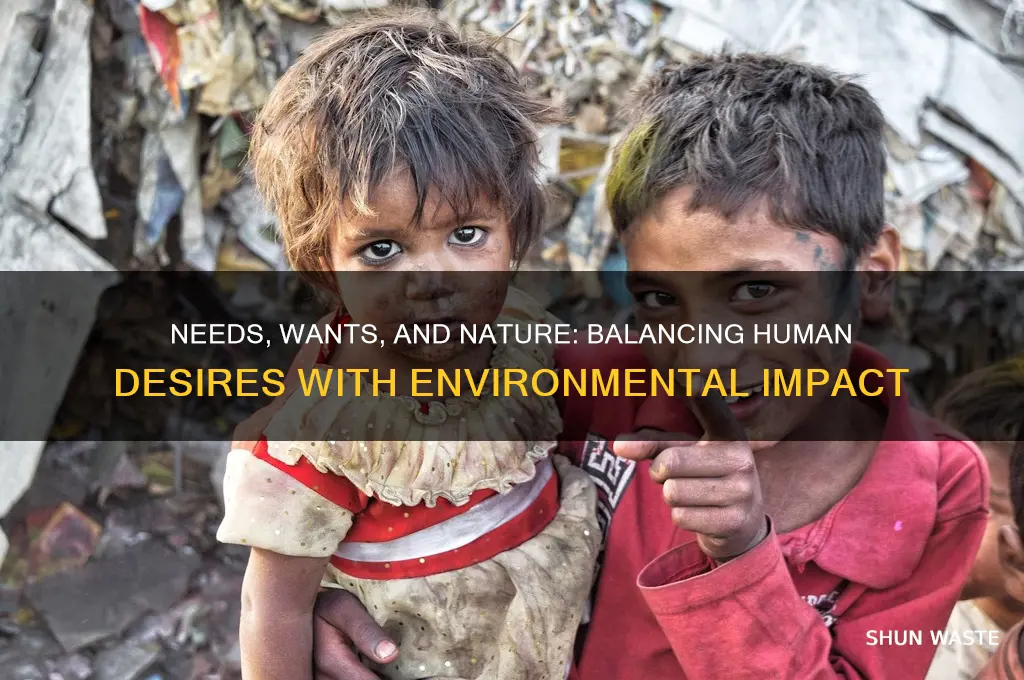 how do our needs and wants affect the environment