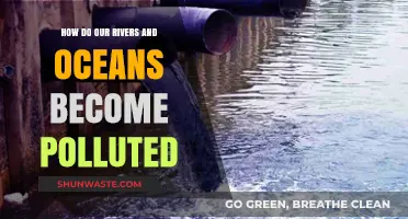 The Pollution Problem: Rivers and Oceans in Danger