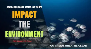 Social Norms, Values, and Their Environmental Impact: A Deep Dive