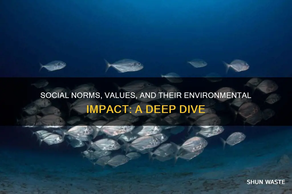 how do our social norms and values impact the environment