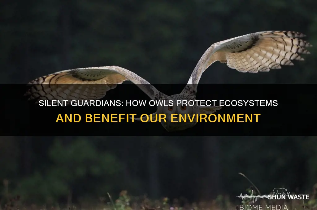 how do owls help the environment