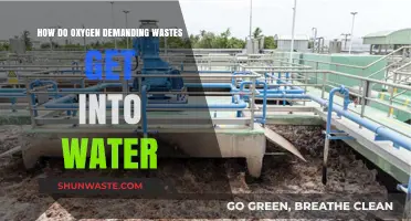 Sources and Pathways of Oxygen-Demanding Wastes in Water Bodies