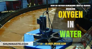 Oxygen Demanding Wastes: How They Deplete Dissolved Oxygen in Water