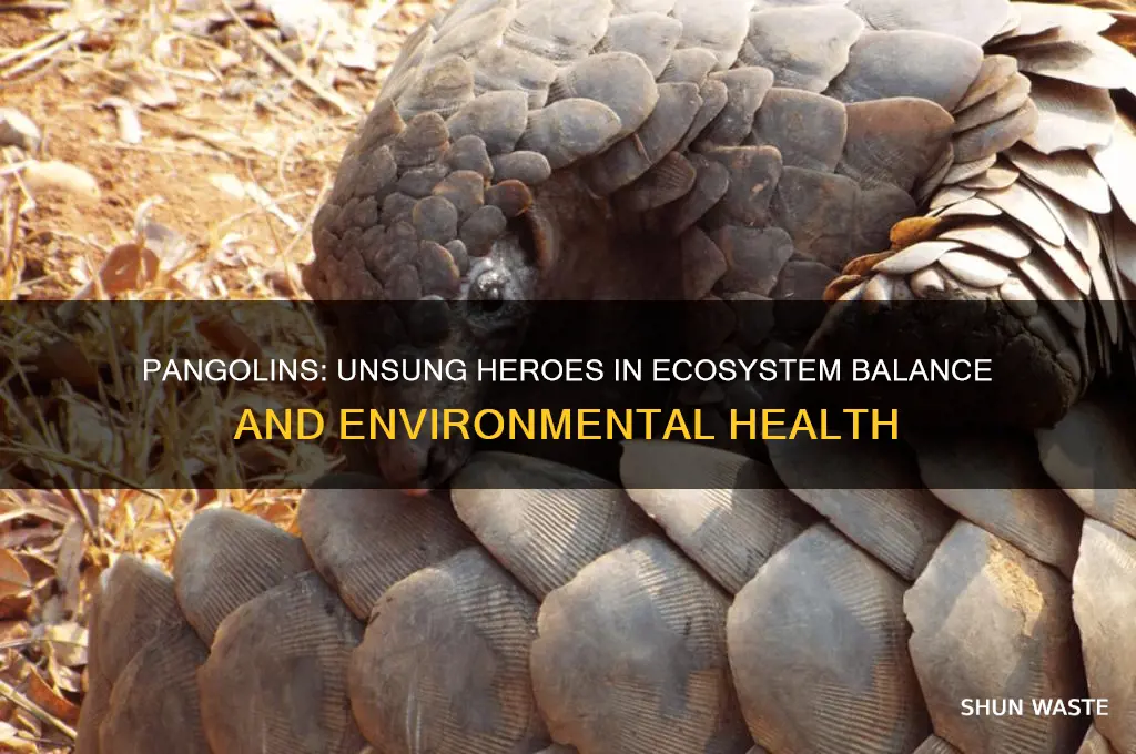 how do pangolins help the environment
