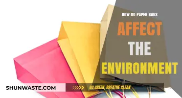 Paper Bags' Environmental Impact: Sustainable Choice or Hidden Challenge?