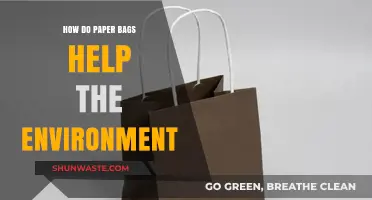 Eco-Friendly Choices: How Paper Bags Benefit Our Planet's Health