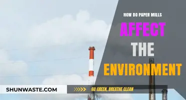 Paper Mills' Environmental Impact: Pollution, Deforestation, and Sustainability Challenges