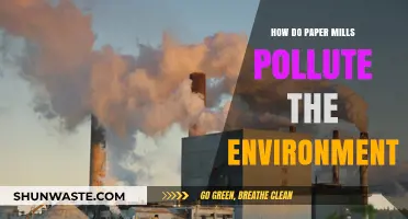 Paper Mills: Environmental Impact and Pollution