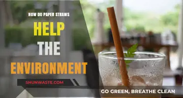 Eco-Friendly Sips: How Paper Straws Benefit Our Planet