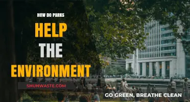 Parks' Vital Role: Enhancing Ecosystems, Air Quality, and Biodiversity
