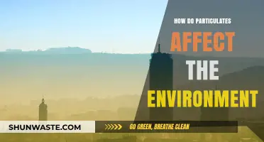Particulate Pollution: Environmental Impacts and Urgent Solutions for a Healthier Planet