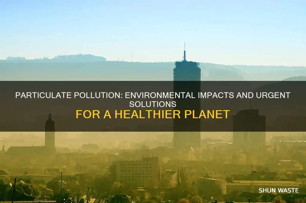 how do particulates affect the environment