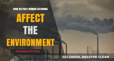 Human Footprints: Past Actions Shaping Today's Environmental Challenges