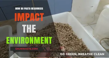 Pasta's Environmental Footprint: Resources, Sustainability, and Eco-Friendly Choices