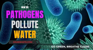 Unveiling the Hidden Dangers: How Pathogens Contaminate Our Water Sources