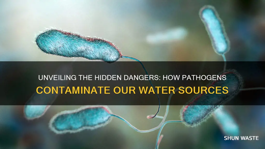 how do pathogens pollute water