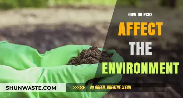 PCB Pollution: Environmental Impact and Long-Term Ecological Consequences Explained