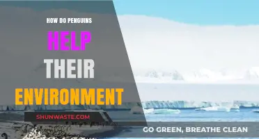 Penguins' Vital Role in Sustaining and Balancing Their Ecosystems