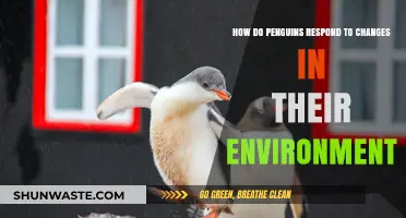 Penguins' Resilience: Adapting to Shifting Environmental Conditions and Challenges