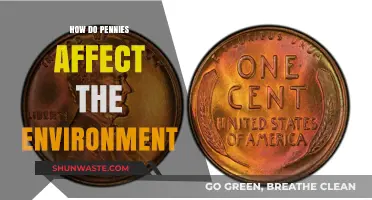 The Hidden Environmental Impact of Pennies: A Small Coin's Big Footprint