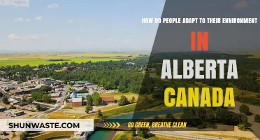 Adapting to Alberta: Survival Strategies in Canada's Dynamic Environment