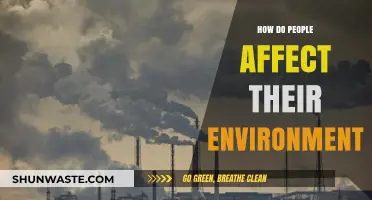 Human Impact: Shaping Our Environment Through Daily Actions and Choices