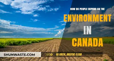 Canada's Environmental Reliance: How Nature Sustains Communities and Livelihoods