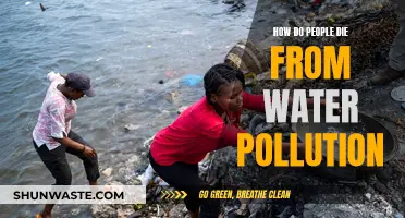 The Silent Killer: How Water Pollution Takes Lives