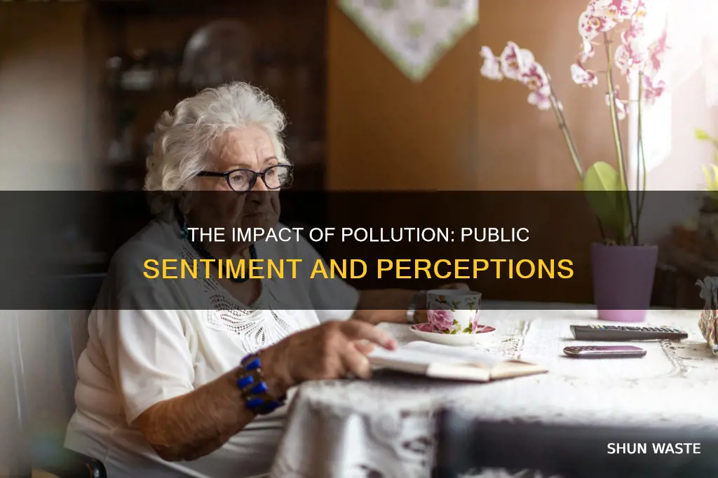 how do people feel about pollution