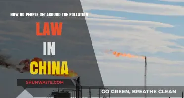 China's Pollution Laws: How Evasion Happens