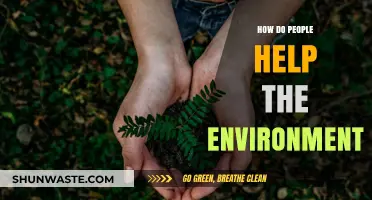 Sustainable Actions: How Individuals Contribute to Protecting Our Planet