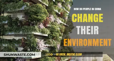 Transforming China: How Citizens Are Shaping Their Environment and Future