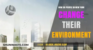 Transforming NYC: How New Yorkers Shape Their Urban Environment