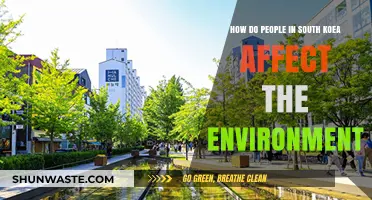 South Korea's Environmental Impact: How Citizens Shape Their Ecosystem