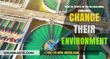 Dutch Innovations: How the Netherlands Transforms Its Environment Creatively
