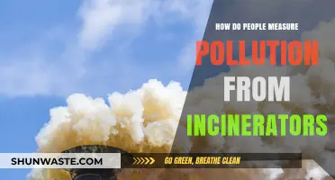 Incinerator Pollution Measurement: Techniques and Challenges