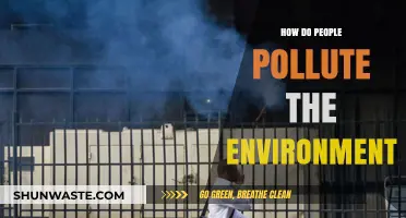 Human Impact: Polluting Our Environment