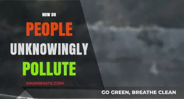 Unknowing Polluters: Our Daily Actions' Impact on the Planet