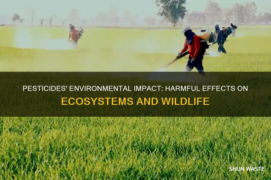 how do pesticide affect the environment